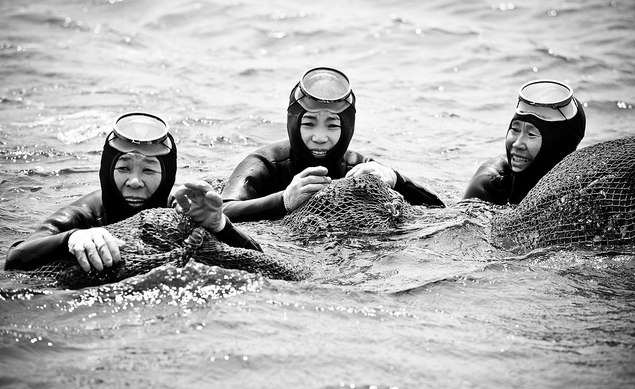 THE LADY DIVERS OF JEJU ISLANDDouble Takes Blog