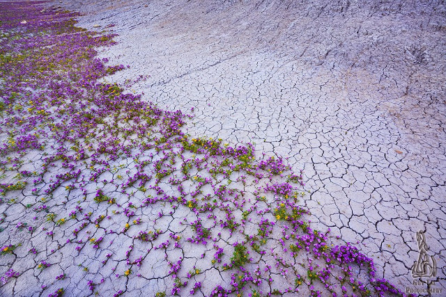 Photo Series Captures the Badlands Looking Very GoodDouble Takes Blog