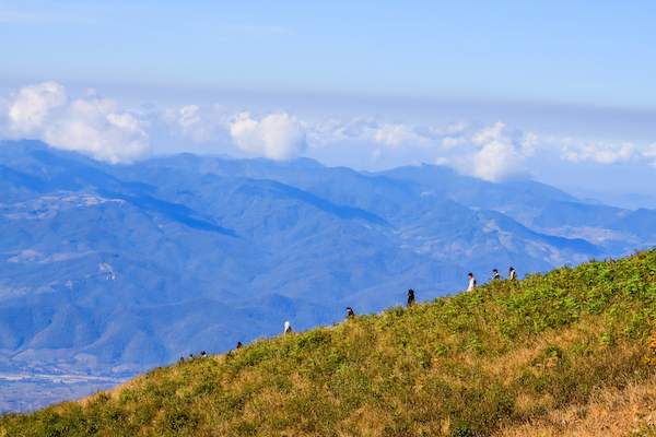 Kew Mae Pan Nature Trail in Doi Inthanon National Park - Chiang Mai, Thailand