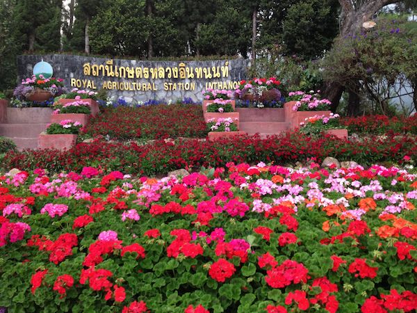 Doi Inthanon agriculture Station