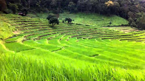 Baan Mae Klang Lueang in Doi Inthanon national parl