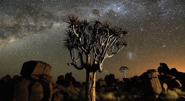Double Takes: A TIME-LAPSE VIDEO FEATURING THE DEAD TREES OF NAMIBIADouble Takes Blog