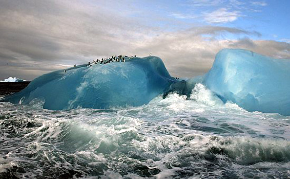 Double Takes: Icebergs: Steven KazlowskiDouble Takes Blog