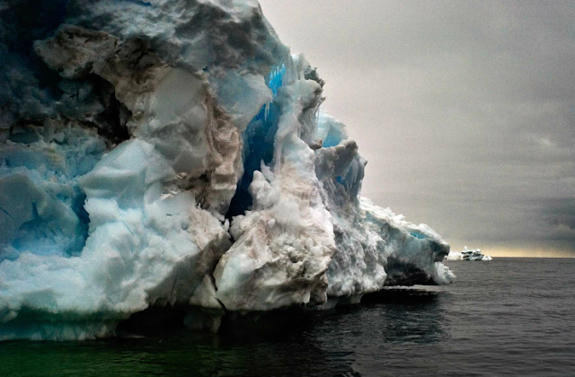 Double Takes: The Last Iceberg: Camille SeamanDouble Takes Blog